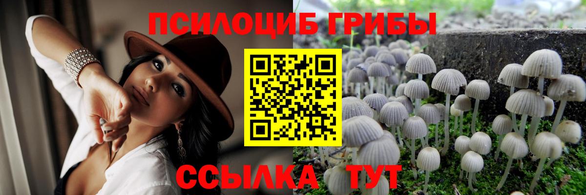 где можно купить   Псилоцибиновые грибы мухоморы  Вход с VPN  Озёрск 